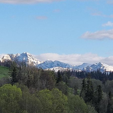 Domki U Jacka Sauna Bilard Tenis Air Hockey Pilkarzyki Bawialnia Plac Zabaw Zakopane Exterior foto